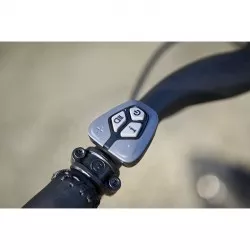 Kalii Belt 2.0 - vélo électrique VanDijck