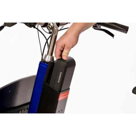 Biporteur électrique Bakfiets Short