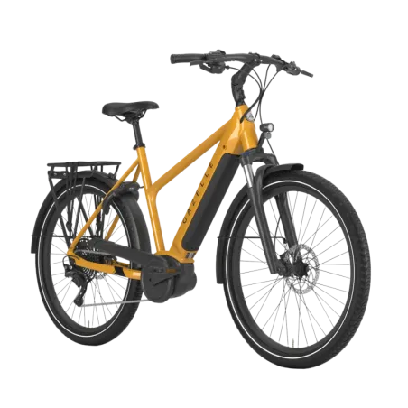 Gazelle - Medeo T10 HMB - Cadre Trapèze
