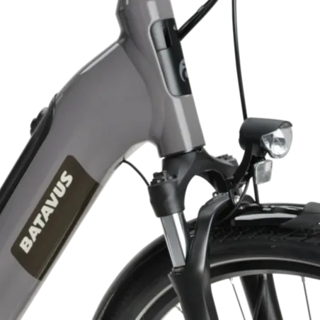 Batavus Altura E-Go Power - Holland Bikes