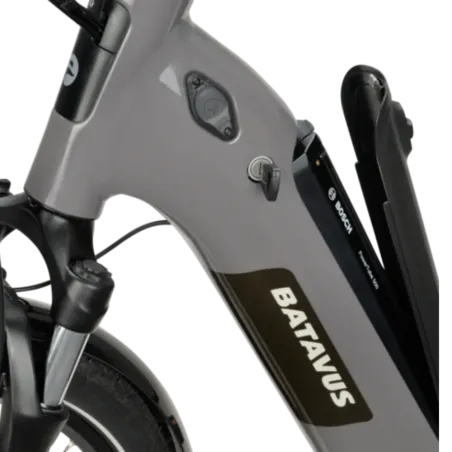 Batavus Altura E-Go Power - Holland Bikes