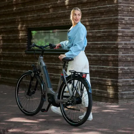 Batavus Altura E-Go Power - Holland Bikes