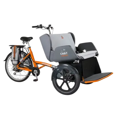 Chat vélo pousse-pousse - Van Raam