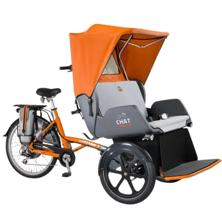 Chat vélo pousse-pousse - VanRaam