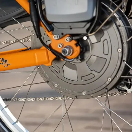 Chat vélo pousse-pousse - VanRaam