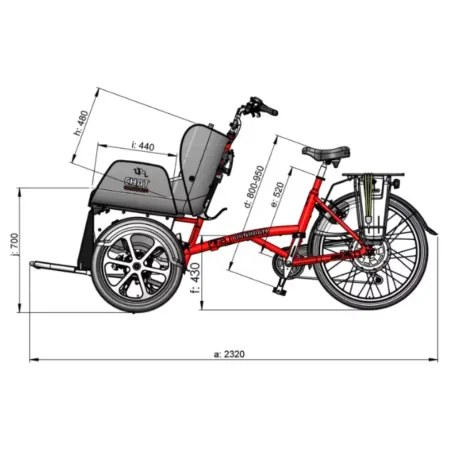 Chat vélo pousse-pousse - VanRaam