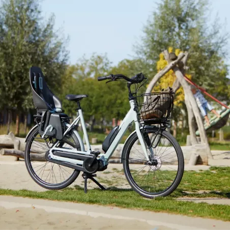 Bloom C7 - Gazelle