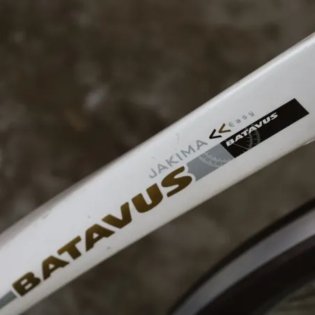 Jakima Easy - Batavus (Reconditionné)
