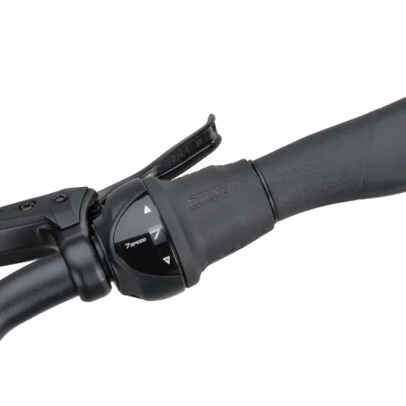 Dinsdag Exclusive (cadre haut) - Batavus