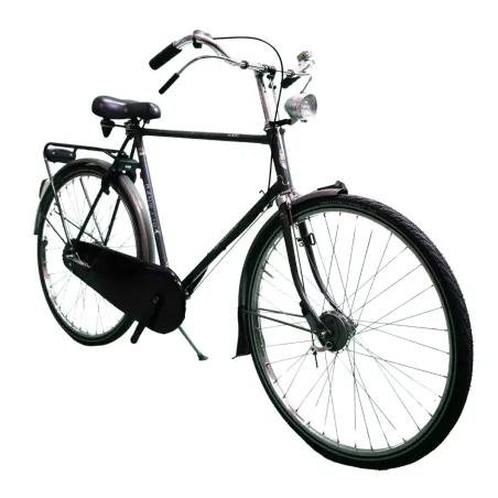 Gazelle Solide Hommes gris 61cm 2023
