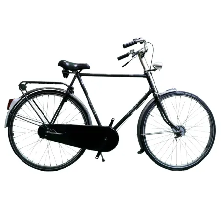 Gazelle Solide Hommes gris 61cm 2023