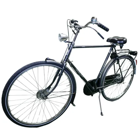 Gazelle Solide Hommes gris 61cm 2023