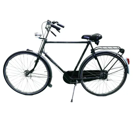 Gazelle Solide Hommes gris 61cm 2023