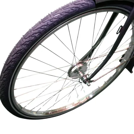 Gazelle Solide Hommes gris 61cm 2023