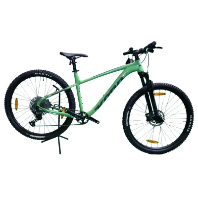 Kona Kahuna Hommes Green L 2023