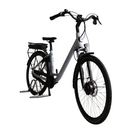 Vélo électrique reconditionné Van Dijck Ceres