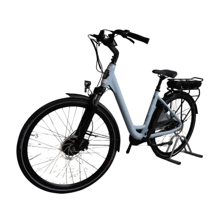 Vélo électrique reconditionné Van Dijck Ceres