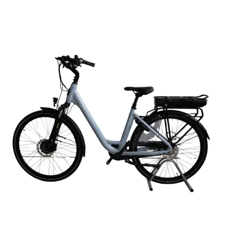Vélo électrique reconditionné Van Dijck Ceres