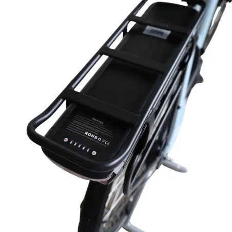 Vélo électrique reconditionné Van Dijck Ceres