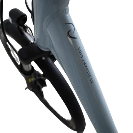 Vélo électrique reconditionné Van Dijck Ceres
