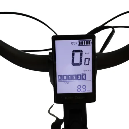 Vélo électrique reconditionné Van Dijck Ceres