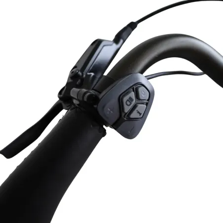 Vélo électrique reconditionné Van Dijck Ceres
