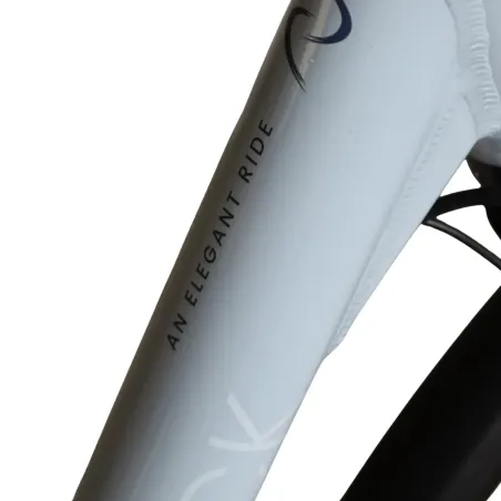 Vélo électrique reconditionné Van Dijck Ceres