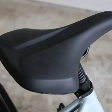 Vélo électrique reconditionné Van Dijck Ceres
