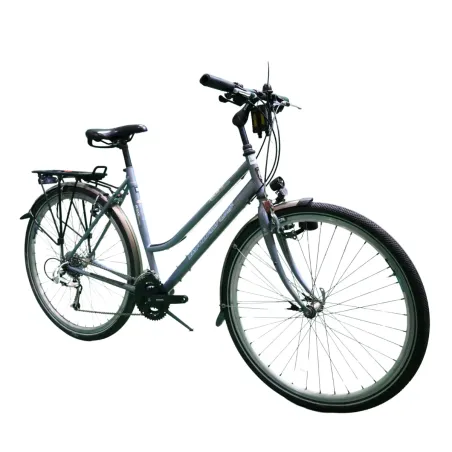 Batavus Apache Dames Gris 53cm 2023