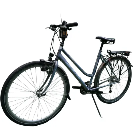 Batavus Apache Dames Gris 53cm 2023