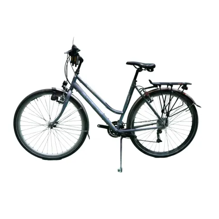 Batavus Apache Dames Gris 53cm 2023