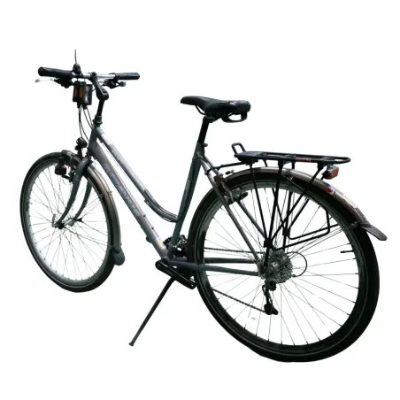 Batavus Apache Dames Gris 53cm 2023