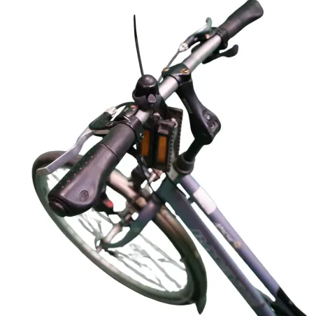 Batavus Apache Dames Gris 53cm 2023