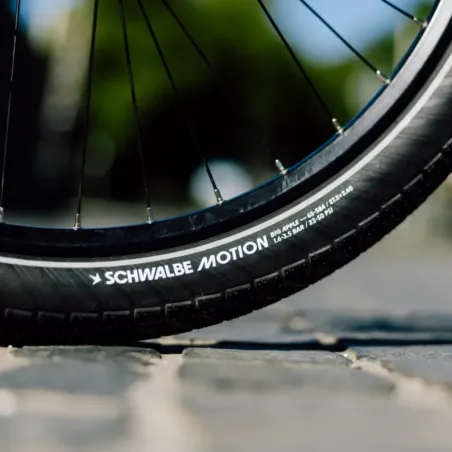 Pneu Schwalbe Motion Big Apple