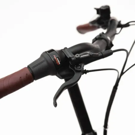 Alpster (Moteur Bosch - Enviolo Automatiq) - Bike43