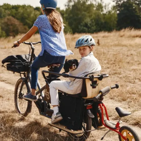 Alpster (Moteur Bosch - Enviolo Automatiq) - Bike43