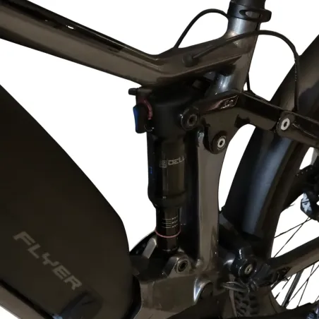 Goroc4 6.50 FS (Speed bike) - Flyer