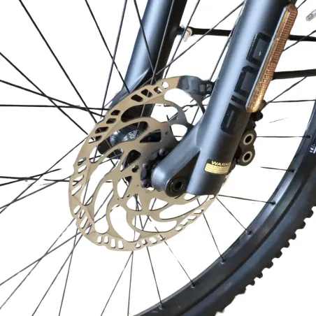 Goroc4 6.50 FS (Speed bike) - Flyer