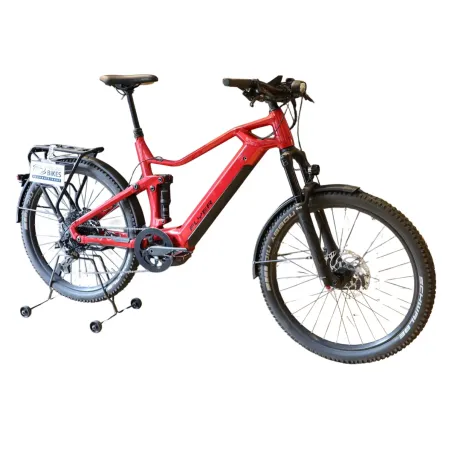 Goroc3 6.50 (Speed bike) - Flyer