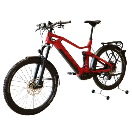 Goroc3 6.50 (Speed bike) - Flyer