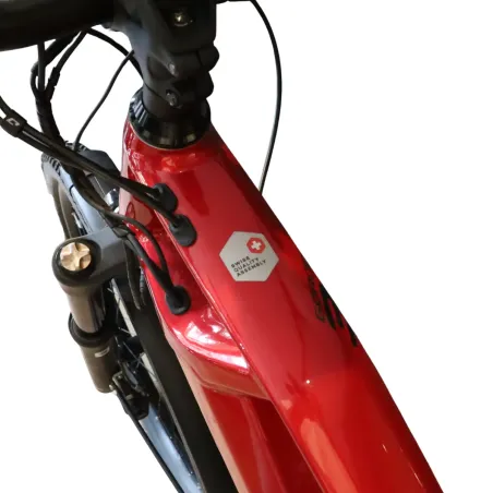 Goroc3 6.50 (Speed bike) - Flyer