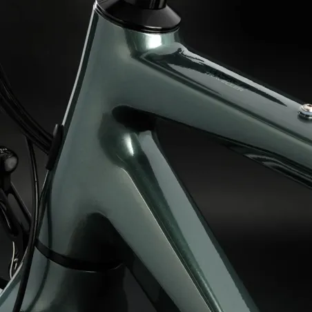 Worldtraveller (Rohloff ) - Koga