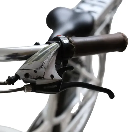 Vélo électrique Batavus Jakima Easy reconditionné
