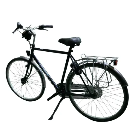 Batavus Lento / RECONDITIONNE Hommes Bleu 57cm 2023