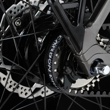 Koga F3 (fourche rigide)  - 8.0