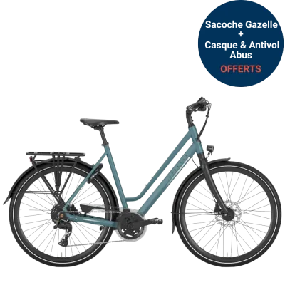 Gazelle Chamonix T20 - VTC - Holland Bikes
