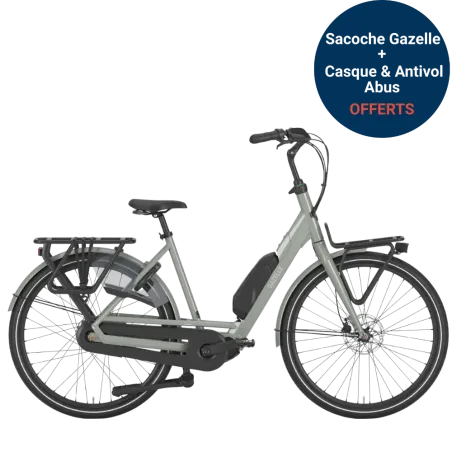 Bloom C310 HMS - Gazelle