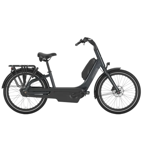 Gazelle Easyflow C8 - Holland Bikes