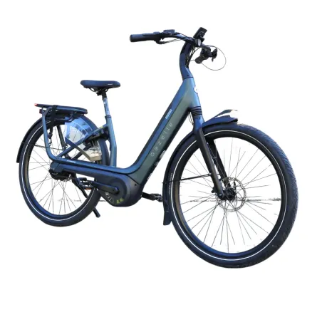 Gazelle Avignon C380 HMB Dames Gris 46cm 2024