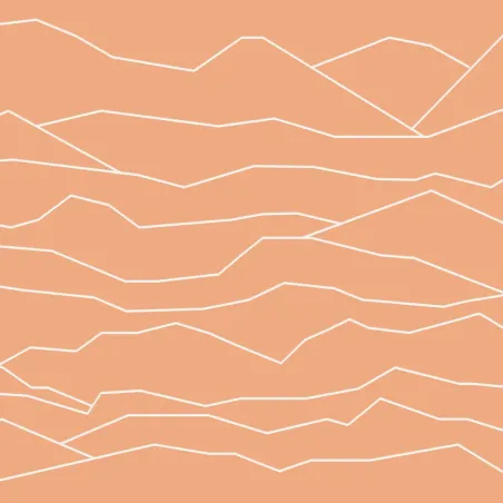 Bandeau technique - Pine To Palm